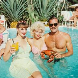 Middle-aged pool party, pineapples and flamingos (surreal), FFF Cruises: Voyage 01 · FFF\CRS\016\001