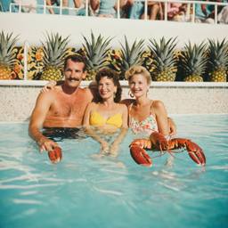 Floating with pineapples and lobsters (surreal), FFF Cruises: Voyage 01 · FFF\CRS\049\015