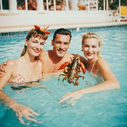Floating with pineapples and lobsters (surreal)