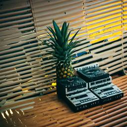 The trashed cabin, full of decks and speakers, FFF Cruises: Voyage 01 · FFF\CRS\055\002