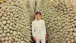Captain Tom Cruise and giant pineapples, FFF Cruises: Voyage 01 · FFF\CRS\095\001