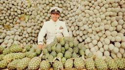 Captain Tom Cruise and giant pineapples, FFF Cruises: Voyage 01 · FFF\CRS\095\002