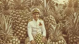 Captain Tom Cruise and giant pineapples, FFF Cruises: Voyage 01 · FFF\CRS\095\005