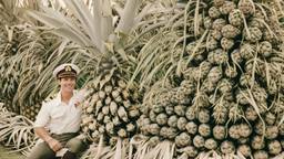 Captain Tom Cruise and giant pineapples, FFF Cruises: Voyage 01 · FFF\CRS\095\006