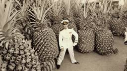 Captain Tom Cruise and giant pineapples, FFF Cruises: Voyage 01 · FFF\CRS\095\008