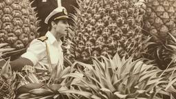 Captain Tom Cruise and giant pineapples, FFF Cruises: Voyage 01 · FFF\CRS\095\009