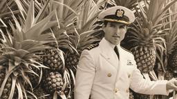 Captain Tom Cruise and giant pineapples