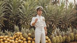 Captain Tom Cruise, FFF Cruises: Voyage 01 · FFF\CRS\103\003