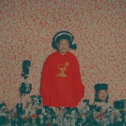 Xi Jinping, Dial-a-Sauce · FFF\DAS\XJ\047