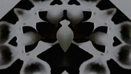 Stills, in film order, The Tree of Life · FFF\RB\TOL\STL\002