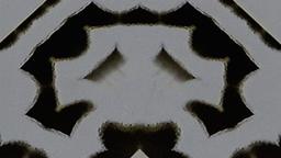 Stills, in film order, The Tree of Life · FFF\RB\TOL\STL\004