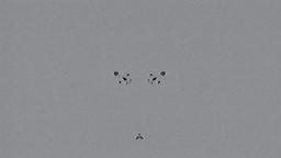 Stills, in film order, The Tree of Life · FFF\RB\TOL\STL\007