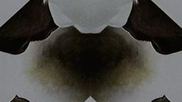 Stills, in film order, The Tree of Life · FFF\RB\TOL\STL\015