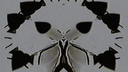 Stills, in film order, The Tree of Life · FFF\RB\TOL\STL\016