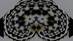 Stills, in film order, The Tree of Life · FFF\RB\TOL\STL\027