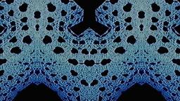 Stills, in film order, The Tree of Life · FFF\RB\TOL\STL\028