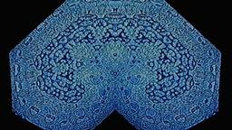 Stills, in film order, The Tree of Life · FFF\RB\TOL\STL\029
