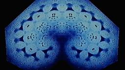 Stills, in film order, The Tree of Life · FFF\RB\TOL\STL\036