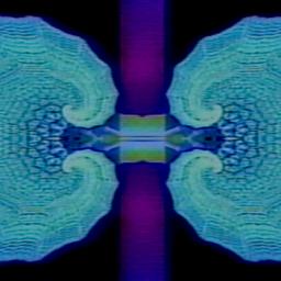Stills, in film order, The Tree of Life · FFF\RB\TOL\STL\074