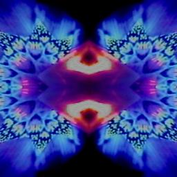 Stills, in film order, The Tree of Life · FFF\RB\TOL\STL\096