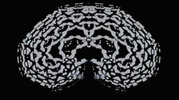 Stills, in film order, The Tree of Life · FFF\RB\TOL\STL\139