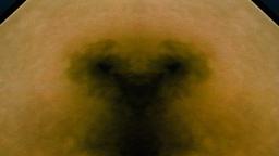 Stills, in film order, The Tree of Life · FFF\RB\TOL\STL\147