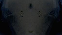 Stills, in film order, The Tree of Life · FFF\RB\TOL\STL\175