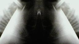 Stills, in film order, The Tree of Life · FFF\RB\TOL\STL\177
