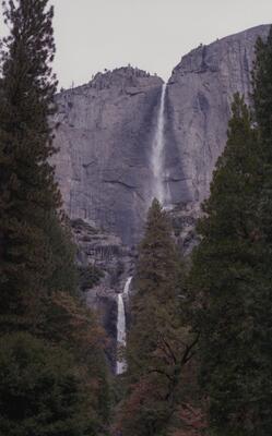 Olympus OM-1