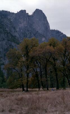Olympus OM-1, Californian Road Trip · FFF\USA\OM\005