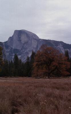 Olympus OM-1, Californian Road Trip · FFF\USA\OM\006