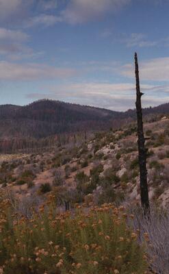 Olympus OM-1, Californian Road Trip · FFF\USA\OM\013