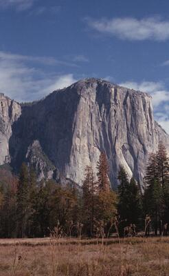 Olympus OM-1, Californian Road Trip · FFF\USA\OM\015