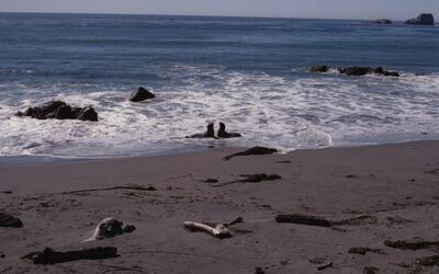 Olympus OM-1, Californian Road Trip · FFF\USA\OM\019