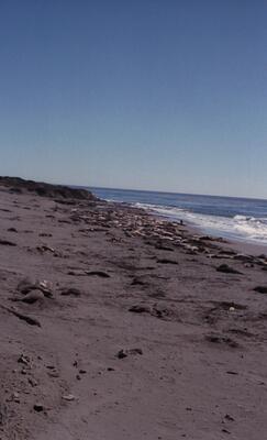 Olympus OM-1, Californian Road Trip · FFF\USA\OM\024
