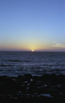 Olympus OM-1, Californian Road Trip · FFF\USA\OM\031
