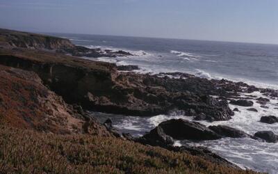 Olympus OM-1, Californian Road Trip · FFF\USA\OM\036