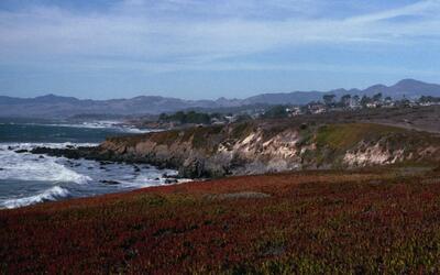 Olympus OM-1, Californian Road Trip · FFF\USA\OM\037