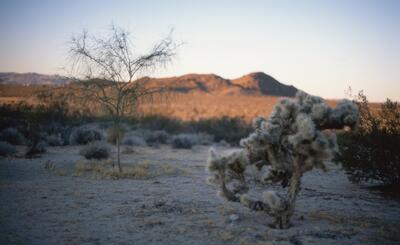 Olympus OM-1, Californian Road Trip · FFF\USA\OM\058