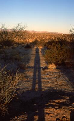 Olympus OM-1, Californian Road Trip · FFF\USA\OM\059