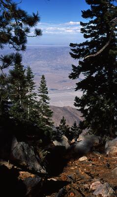Olympus OM-1, Californian Road Trip · FFF\USA\OM\066