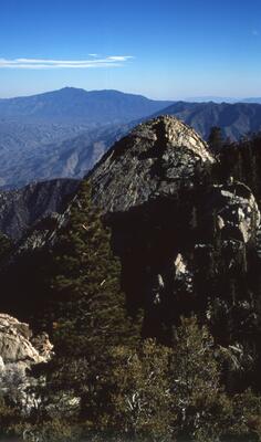 Olympus OM-1, Californian Road Trip · FFF\USA\OM\068