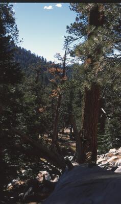 Olympus OM-1, Californian Road Trip · FFF\USA\OM\073