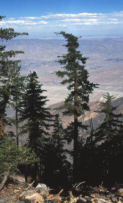 Olympus OM-1, Californian Road Trip · FFF\USA\OM\076
