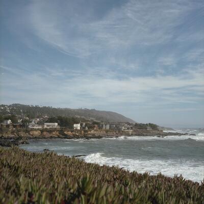Rolleiflex 2.8F, Californian Road Trip · FFF\USA\RF\004