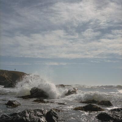 Rolleiflex 2.8F, Californian Road Trip · FFF\USA\RF\006