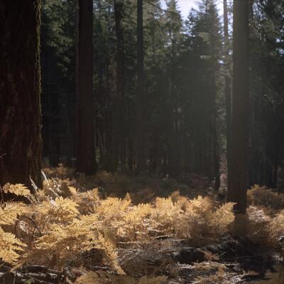Rolleiflex 2.8F, Californian Road Trip · FFF\USA\RF\014