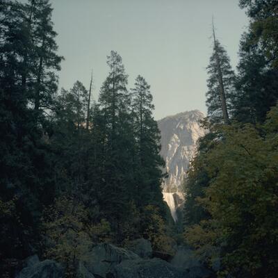 Rolleiflex 2.8F, Californian Road Trip · FFF\USA\RF\018