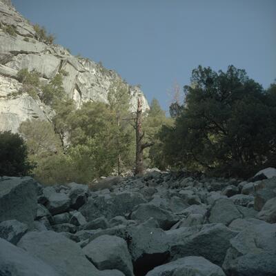 Rolleiflex 2.8F, Californian Road Trip · FFF\USA\RF\020