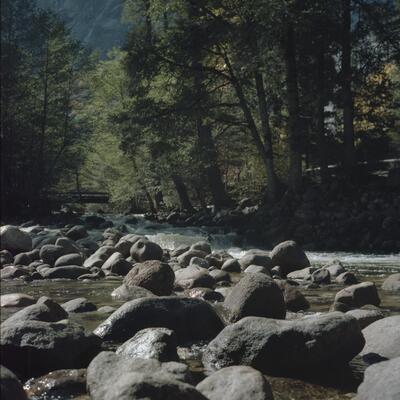 Rolleiflex 2.8F, Californian Road Trip · FFF\USA\RF\023